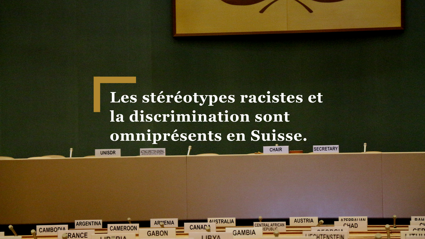 Après sa visite, le groupe de travail d'expert·e·s de l'ONU sur les personnes d'ascendance africaine s'inquiète de la forte propagation du racisme anti-Noir·e·s et de la situation relative aux droits humains des personnes d'ascendance africaine en Suisse. Elle appelle à une action urgente et renvoie à cet égard au rôle essentiel de l'institution nationale des droits humains en cours de création.