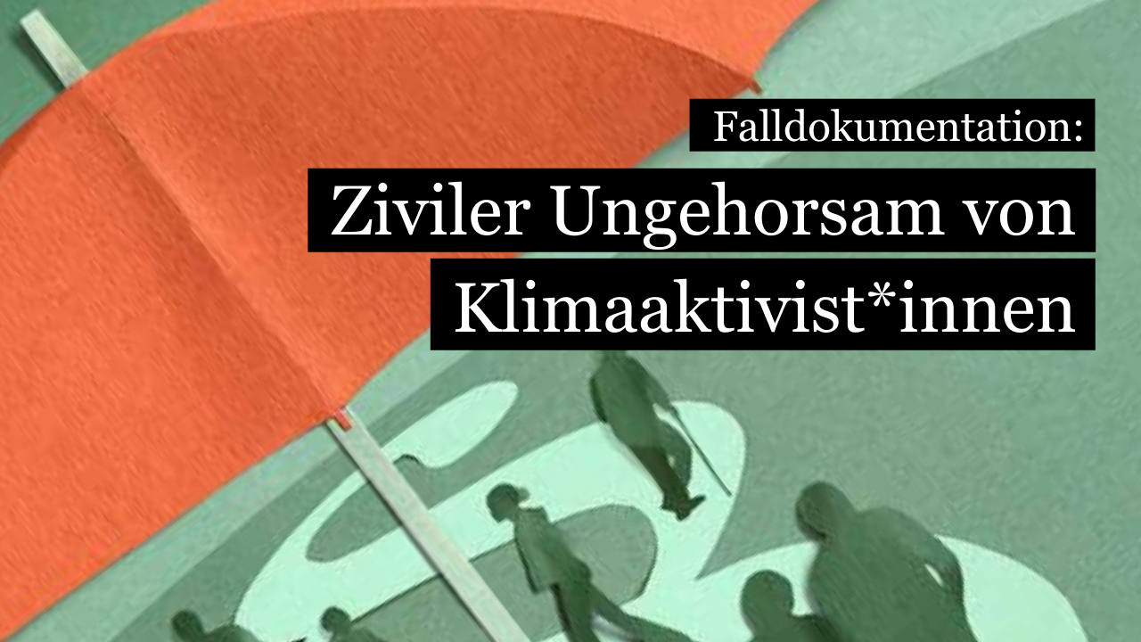 Umweltaktivist*innen der Lausanner Gruppe «Climate Action» hatten beim Bundesgericht Beschwerde gegen die Verurteilung ihrer Protestaktion eingelegt. Der Fall ist ein gutes Beispiel für einen strategischen Prozess: Die höchste Schweizer Instanz musste darüber befinden, inwiefern der Klimanotstand rechtswidrige Handlungen legitimieren kann.