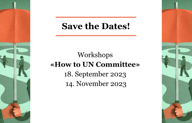 humanrights.ch organisiert am 18. September und am 14. November 2023 online Lunch-Workshops zur strategischen Prozessführung vor den UN-Ausschüssen.