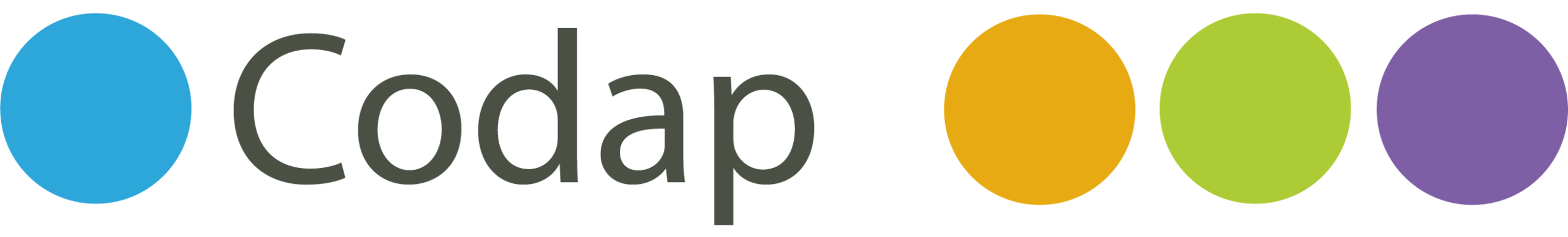 Centre de conseils et d’appui pour les jeunes en matière de droits de l’Homme, CODAP