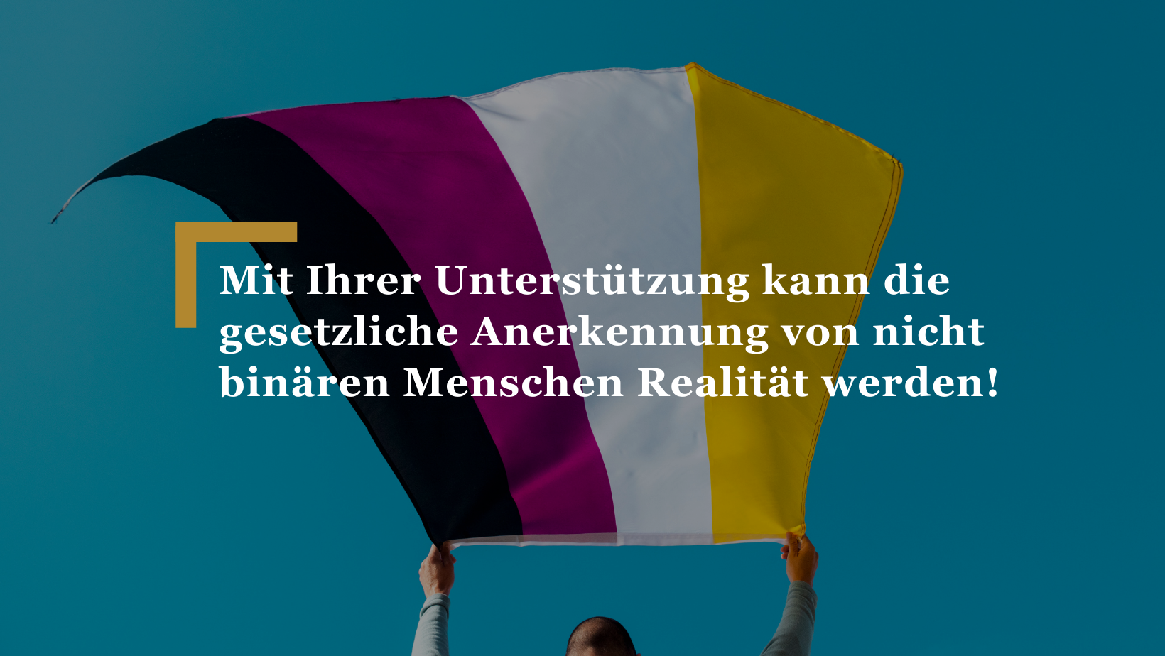 Am 29. März 2021 fällte das Obergericht Aargau einen historischen Entscheid: Der in Deutschland gestrichene Geschlechtseintrag einer nicht binären Person müsse in der Schweiz anerkannt und im Personenstands- und Geburtsregister entsprechend übernommen werden. Das Bundesgericht kann den Entscheid jedoch wieder kippen. Deswegen startete das Transgender Network Switzerland mit Unterstützung der Anlaufstelle für strategische Prozessführung von humanrights.ch am 5. November 2021 eine Kampagne.